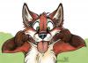 Аватар для Digital-fox