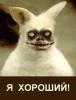 Аватар для Вовий